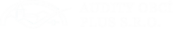 logo audity obci plus
