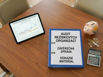 audit neziskových organizací